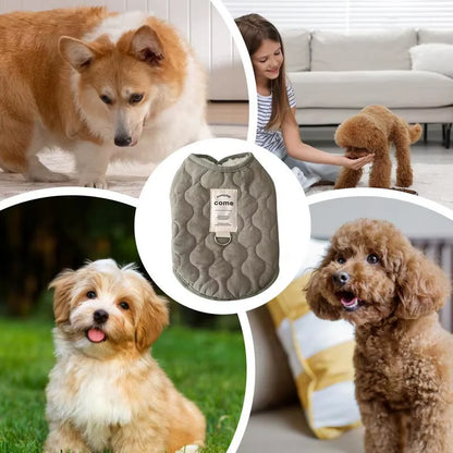 🧥 SnuggleShield™ Winter Coat – Warmth Meets Walk-Ready Convenience for Small Dogs & Cats